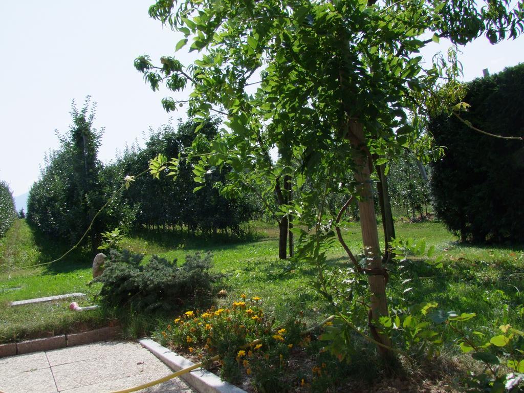 Agritur Fior Di Melo Apartment Nanno Exterior photo